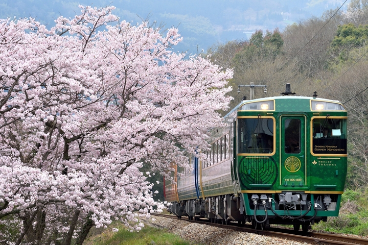 日本花小錢奢遊四國的鐵道旅行 1