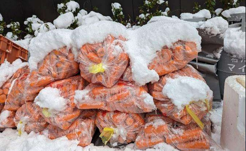 大雪讓戶外變成了天然冷凍庫，就連堆放在帳篷外的蘿蔔也被白雪覆蓋。圖／慈濟基金會提供