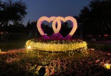 喜迎龍年妝點綠帶空間 中市21條道路繽紛蒔花燈飾 喜迎龍年妝點綠帶空間 中市21條道路繽紛蒔花燈飾