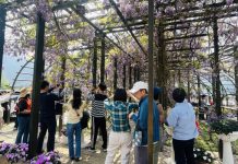 瑞里紫藤花享用紫色野餐 佐美喵家族驚喜現身 瑞里紫藤花享用紫色野餐 佐美喵家族驚喜現身