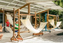 烏塗社區山櫻滿開 到秘境品嘗限定粉色櫻花麵線 烏塗社區山櫻滿開 到秘境品嘗限定粉色櫻花麵線