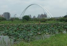 新海人工濕地賞荷 即日起至6月 新海人工濕地賞荷 即日起至6月