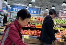 農產外銷加拿大北美市場 台中71公噸柑橘上架 農產外銷加拿大北美市場 台中71公噸柑橘上架