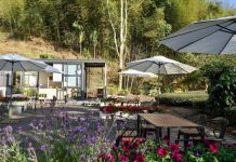 咖啡控看這裡 嘉義166縣道8家精選咖啡廳 咖啡控看這裡 嘉義166縣道8家精選咖啡廳