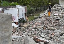 國際人道救援最後一線希望 搜救犬訓練大公開 國際人道救援最後一線希望 搜救犬訓練大公開