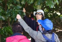 感官漫遊新美館 生態音樂市集622登場 感官漫遊新美館 生態音樂市集622登場