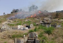 中市開罰烏日南屯焚燒火警 籲民眾掃墓不燒墓 中市開罰烏日南屯焚燒火警 籲民眾掃墓不燒墓