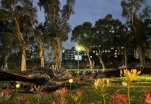 徜徉菊展海漾星空區 藝術家巧思引您會心一笑 (圖/示意圖)