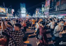 白晝之夜 11月開啟「夜行動物派對」模式 (圖/示意圖)