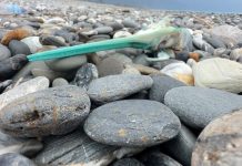 七星潭釣客亂丟「水針魚頭」 遊客恐遭刺傷 (圖/取自今日花蓮臉書)