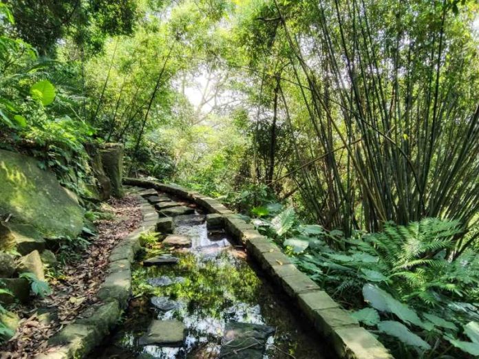 001 (圖/臺北市政府工務局)