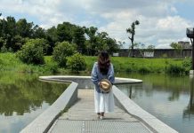 雙溪溼地公園設計巧思待尋覓 (圖/臺北市政府工務局)