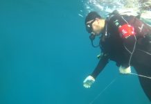 環境部率隊清理澎湖海底覆網 共同守護海岸環境 (圖/環保署)