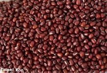 初五情人節 米糕最相思 (圖/臺北市立動物園)