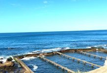 來去東北角散心 看海品嚐貢寮鮑炒飯 (圖/漁港事業管理處)