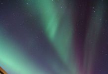 不用出國!天文館六月帶您看極光 (圖/臺北市立天文科學教育館)