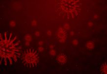 新冠病毒變異不止 恐引新一波大流行 (圖/示意圖)