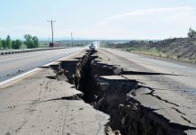 臺日防災政策研討會 汲取日本地震作為