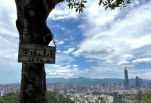 暑假何處去?來一場步道生態之旅