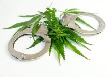 捷運車班人員拾獲毒品 捷警調查中 (圖/示意圖)