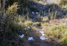 無痕山林淪為口號 雪霸山屋清理出千公斤垃圾 (圖/取自雪霸國家公園臉書)