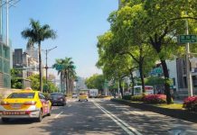 遙想月夜愁 三線路復刻南國椰林風情 (圖/臺北市政府工務局)