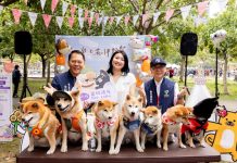台北花伴野餐熱鬧登場! 五大專區精彩活動 (圖/臺北市政府觀光傳播局)