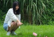 湳仔溝、新海濕地 賞蝶騎車趣