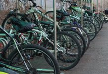 警鷹眼查緝 偷腳踏車竊賊到案