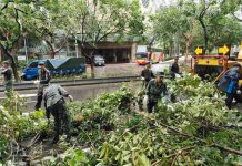 國軍支援北市救災 兵役局長慰勉官兵 (圖/兵役局)