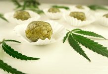 2024反毒龍總來 (圖/示意圖)