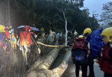 民間營隊受困黃蝶翠谷 已平安獲救 (圖/警政署)