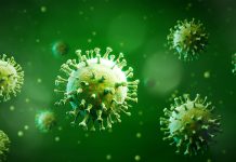 藍委質疑疫情足跡未銷毀 恐成選舉操作 (圖/示意圖)