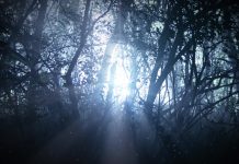 2050淨零轉型 擬定增匯減碳策略