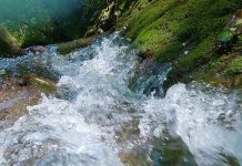 防溺不鬆懈 戲水更安全