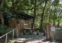 貴子坑步道生態導覽即將開放報名 (圖/貴子坑)