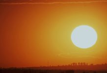 皇天不負苦心人/警為救老翁 不惜「越界」 (圖/警政署)