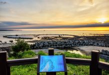 漁人碼頭音樂會7月1日報名開跑