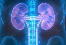 炎熱的氣候 熱危害恐對腎臟造成傷害 (圖/示意圖)