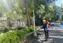 新增登革熱本土病例 提醒民眾落實孳生源清除 (圖/示意圖)