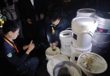 北市環保局忍者龜建功 箱涵溯源查獲四分溪河川污染源 圖/台北市政府提供