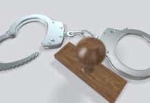 司法掮客偕同律師團 擔任詐欺集團軍師