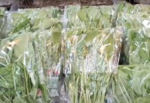 因應風災後菜價波動 啟動蔬菜平價措施 (圖/翻攝youtube)