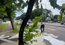 大量建材散落於車道 警迅速協助排除障礙 (圖/警政署)