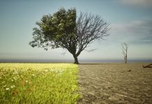 氣象署發表「降溫告急」氣候變遷通識影片 (圖/示意圖)