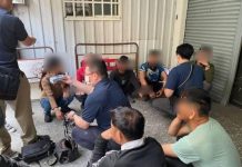 非法越南小包工 遭判刑還禁止入國11年 (圖/內政部)