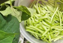 超強護眼蔬菜 防黃斑部病變又抗氧化