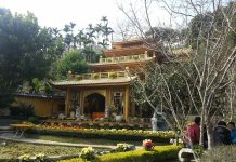 嘉縣七大「龍景」 龍總來招財進寶招好運 (圖/取自龍王金殿臉書)