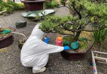 動保處:禽流感疫情仍嚴峻須提防 (圖/動保處)