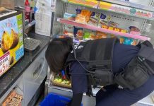 迷途小狗找主人 八掌警熱心尋飼主